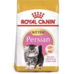 Royal Canin Persian Kitten Cat Food