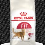 Royal Canin Regular Fit Adult Cat Food