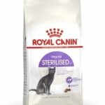 Royal Canin Regular Sterlized Adult Cat Food